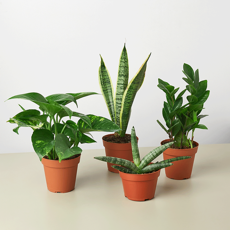 Bundles & Stuff